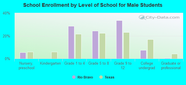 School Enrollment by Level of School for Male Students