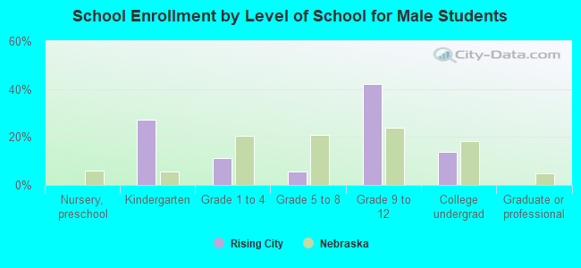 School Enrollment by Level of School for Male Students