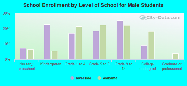 School Enrollment by Level of School for Male Students