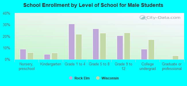 School Enrollment by Level of School for Male Students