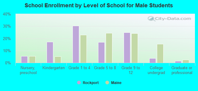 School Enrollment by Level of School for Male Students