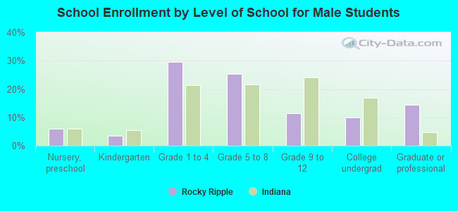 School Enrollment by Level of School for Male Students