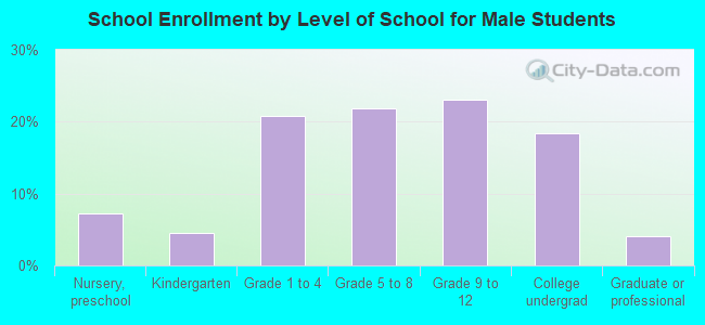 School Enrollment by Level of School for Male Students