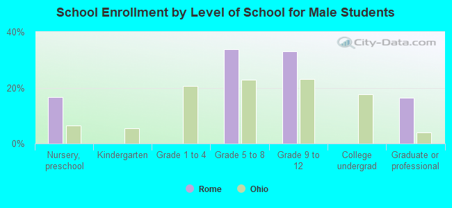 School Enrollment by Level of School for Male Students