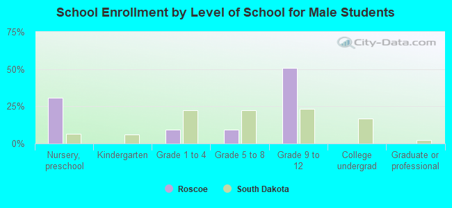 School Enrollment by Level of School for Male Students