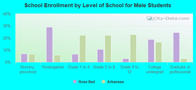 School Enrollment by Level of School for Male Students