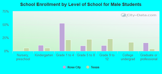 School Enrollment by Level of School for Male Students