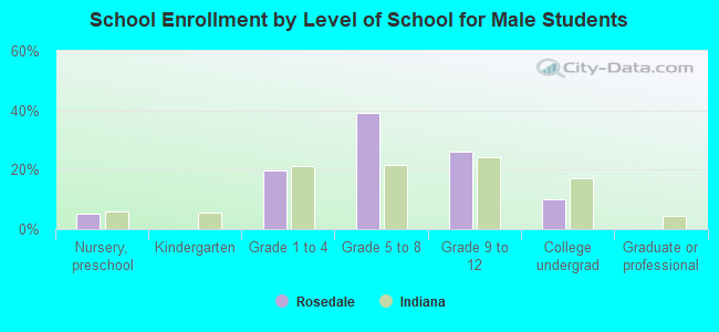 School Enrollment by Level of School for Male Students