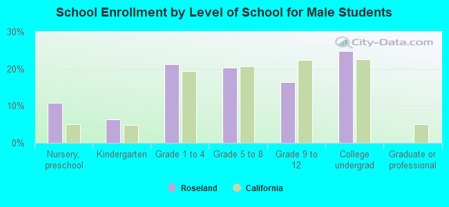 School Enrollment by Level of School for Male Students