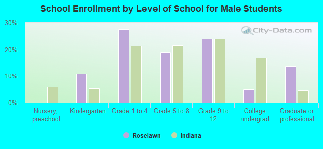 School Enrollment by Level of School for Male Students