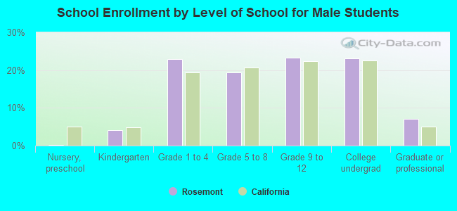 School Enrollment by Level of School for Male Students