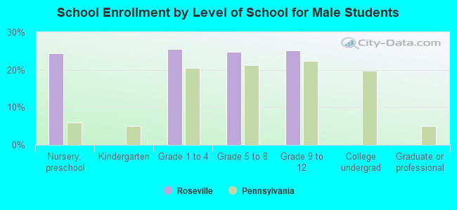 School Enrollment by Level of School for Male Students