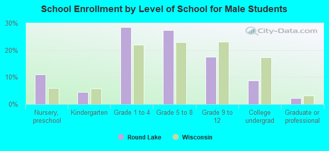 School Enrollment by Level of School for Male Students