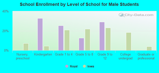 School Enrollment by Level of School for Male Students