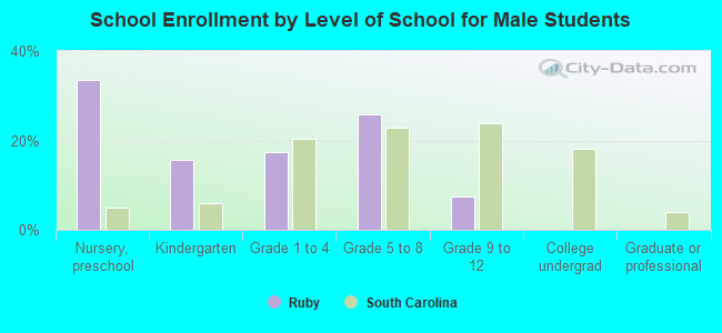 School Enrollment by Level of School for Male Students