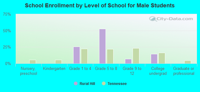 School Enrollment by Level of School for Male Students