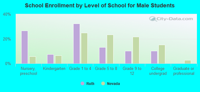 School Enrollment by Level of School for Male Students