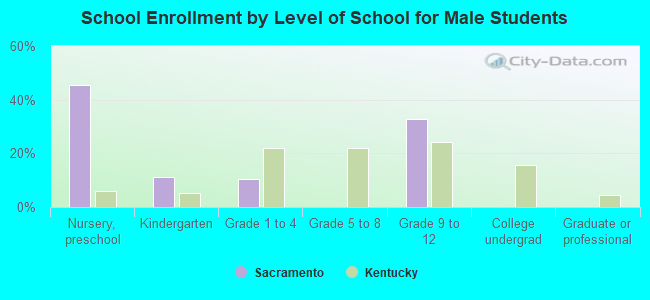 School Enrollment by Level of School for Male Students