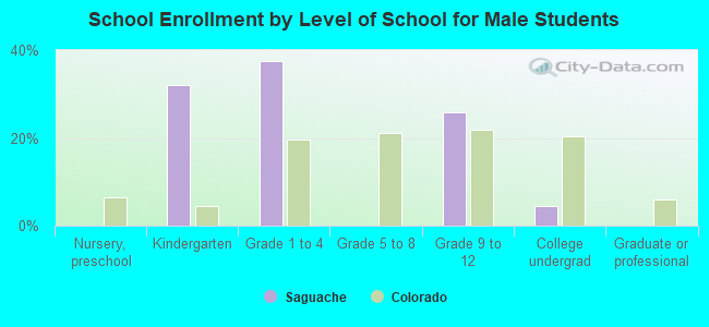 School Enrollment by Level of School for Male Students