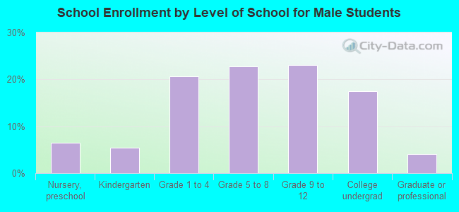 School Enrollment by Level of School for Male Students