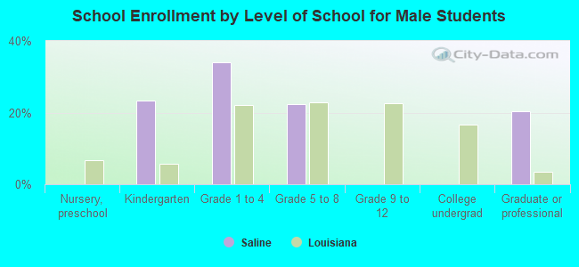 School Enrollment by Level of School for Male Students