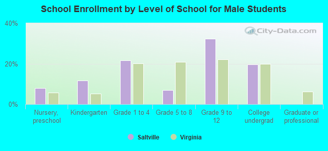 School Enrollment by Level of School for Male Students