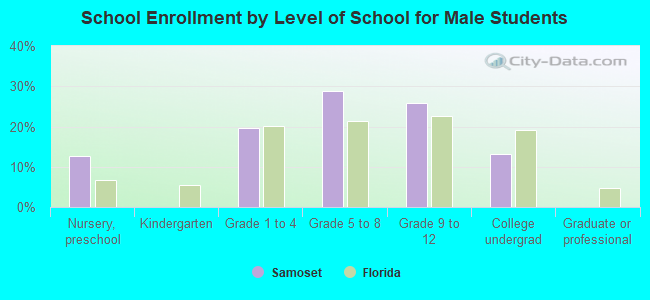 School Enrollment by Level of School for Male Students