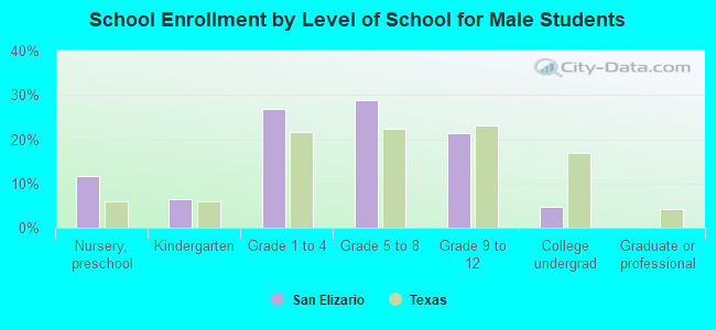 School Enrollment by Level of School for Male Students