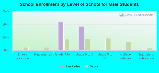 School Enrollment by Level of School for Male Students