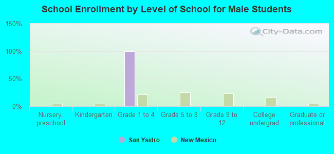 School Enrollment by Level of School for Male Students