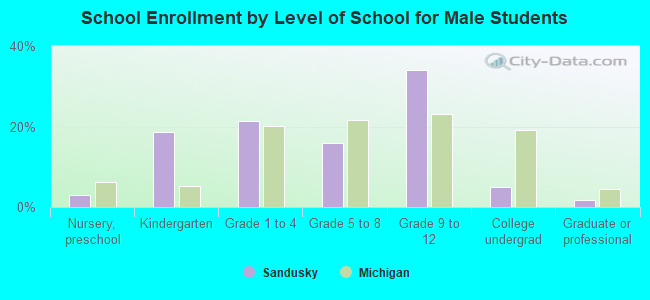 School Enrollment by Level of School for Male Students