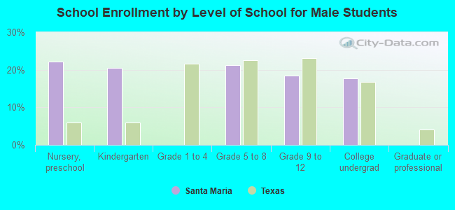 School Enrollment by Level of School for Male Students