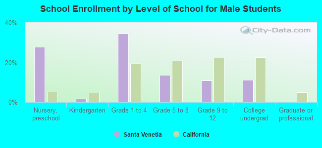 School Enrollment by Level of School for Male Students