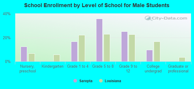 School Enrollment by Level of School for Male Students