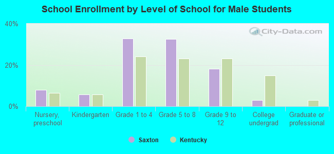 School Enrollment by Level of School for Male Students