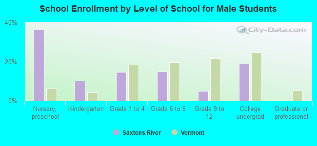 School Enrollment by Level of School for Male Students