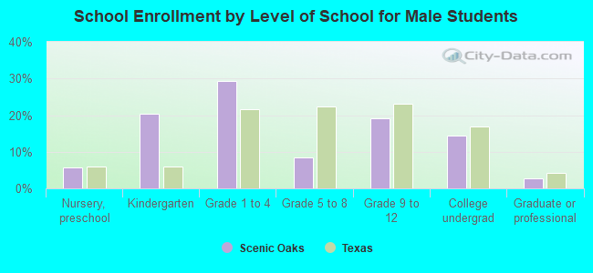 School Enrollment by Level of School for Male Students