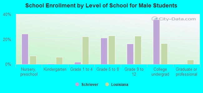 School Enrollment by Level of School for Male Students