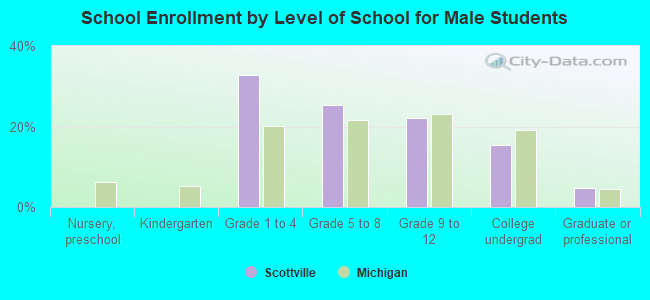 School Enrollment by Level of School for Male Students