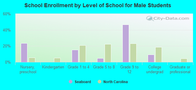 School Enrollment by Level of School for Male Students