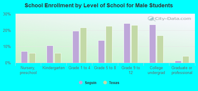 School Enrollment by Level of School for Male Students