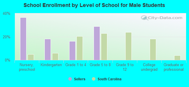 School Enrollment by Level of School for Male Students