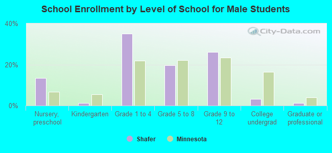 School Enrollment by Level of School for Male Students