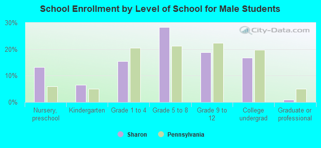 School Enrollment by Level of School for Male Students