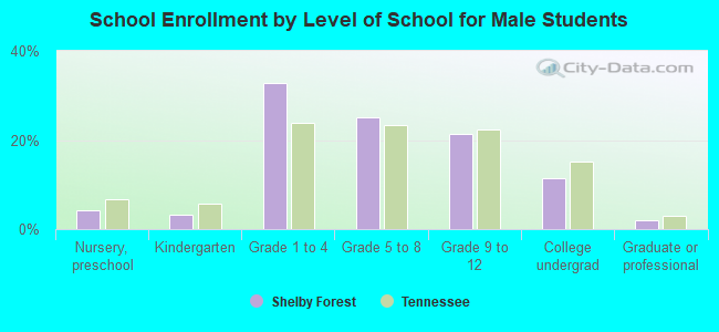 School Enrollment by Level of School for Male Students