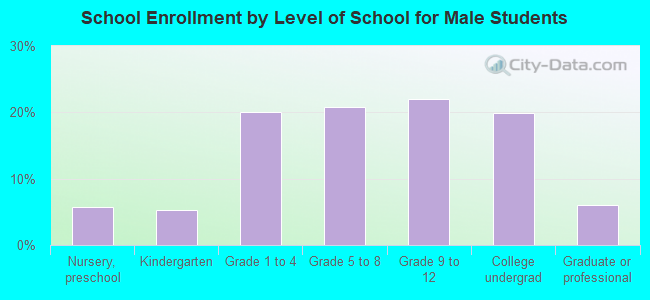 School Enrollment by Level of School for Male Students