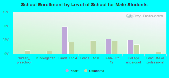 School Enrollment by Level of School for Male Students