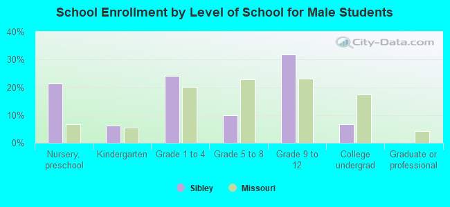 School Enrollment by Level of School for Male Students