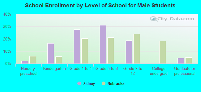 School Enrollment by Level of School for Male Students