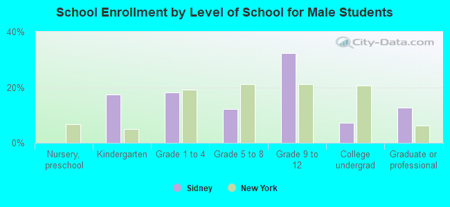 School Enrollment by Level of School for Male Students